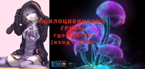 дживик Киренск