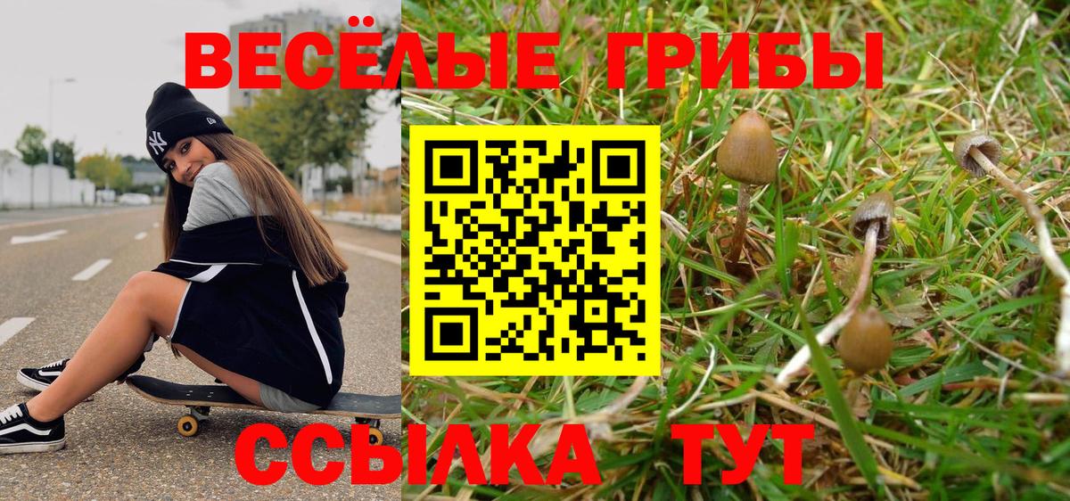 Галлюциногенные грибы прущие грибы  Вход с VPN  Новомосковск 