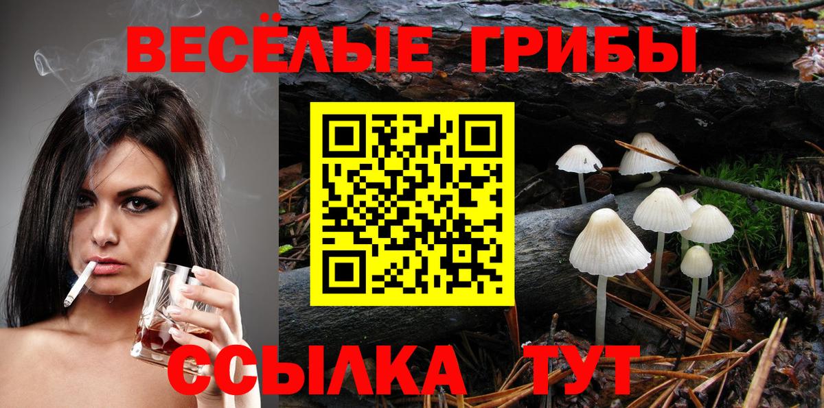 Псилоцибиновые грибы ЛСД Новомосковск